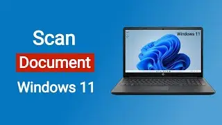 How to Scan a Document to Computer (Windows 11)