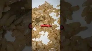 The Ending Is Crazy 🤯