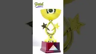 Fiber trophy