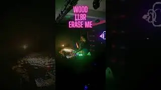 A Year in Motion &mdash; Rome in Reverse (Live & Releases)