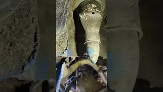 шотк про тягу панара