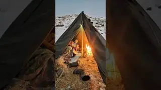 Alone in Snow ❄️ Solo Winter Camp
