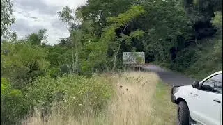 Urban Jungle A Day in Australia Mini Vlog