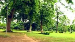 Cross River State of Nigeria: A New World of Investment (Feature)