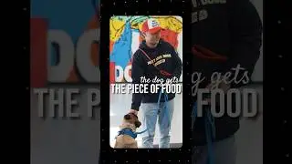 Rewarding Your Dog