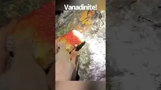 100ft underground! Digging for beautiful Vanadinite crystals in Arizona.
