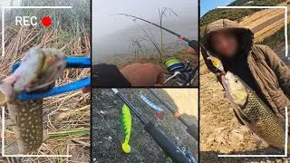 TURNA, KASNA(KEFAL) BALIK AVI | Yengenizi sazan avına çıkardım Tutmadığımız tatlı su balığı kalmadı!