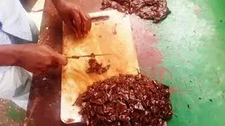 baro sida beerka loo jarjaro