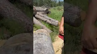 Testing the square ground chain #squaregrind #2stroke #firewood #chainsaw @squarejig