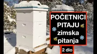 ❄️☃️🍯 Zimska pitanja (2 dio): &Scaron;to početni pčelari najče&scaron;će pitaju zimi? 🐝❄️ pčelarstvo2026