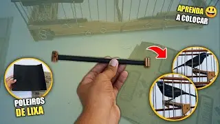 Colocando POLEIRO de LIXA na gaiola de IMPERADOR 😍😍