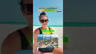 Ranking The Better Cruise: Carnival vs Royal Caribbean