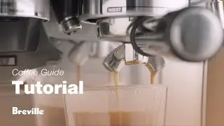 Barista Pro&trade; | Как приготовить вкусный американо одним нажатием кнопки | Breville USA