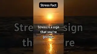 Navigating Stress