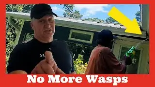Killing Wasps With Spray Gun