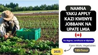 NAMNA YAKU APPLY KAZI JOBBANK NA UPATE LMIA