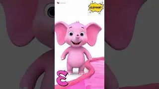 A to O Color Animals 🦓🐘 | Learn Colors & Animals for Kids | Fun Preschool Animation #shorts