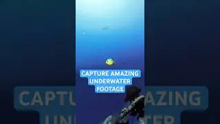 This Action Camera Takes The BEST Underwater Videos?