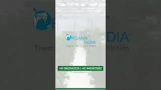 #organic #farming #soil #less #farming #natural #farming #hydroponic #farming www.organikindiallp. c