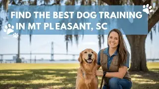 Find the Best Dog Training in Mt Pleasant South Carolina