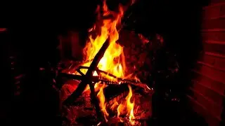 Crackling Fireplace Sounds for Sleeping and Studying | 3 Hours of Cozy Burning Wood | Warm Ambience