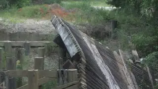 Geneva County waiting on endangered species studies before bridge replacement