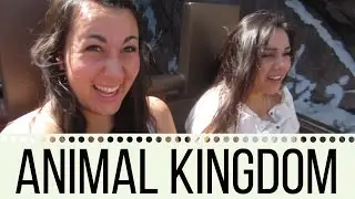 DAK-venture! - Brennah's DCP #26