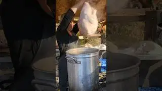 Сегодня мы обрабатываем индейку! #домашнеехозяйство #домашнеехозяйство #индейки #Деньблагодарения...