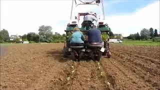 planting Cabbages at SCA Ltd movie