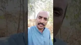 Bald man's post-election scene | Funny Content