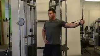 Reverse Fly (Cable) - Standing/Single Arm