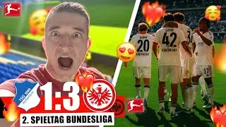 🦅ADLER WEITER IM HÖHENFLUG🦅 | 🔥Frankfurter Heimspiel in Hoffenheim🔥