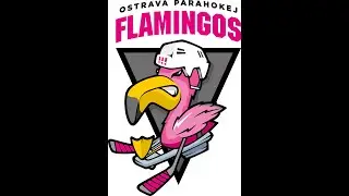 Flamingos Ostrava