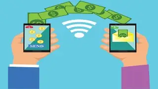Report: Stellar Foundation Eyes Potential Acquisition of MoneyGram