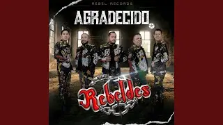 Agradecido