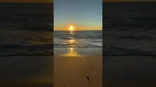 Analog synth player sunsets is live!