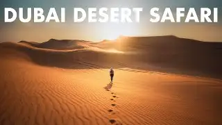 DUBAI DESERT ADVENTURE | Off- Roading, Dunes, Camels & More!
