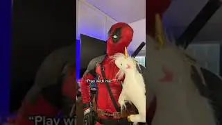 Unicorn🌈🦄 😏 #deadpool #unicorn #freetime #mcu #tlc #marvel #shorts