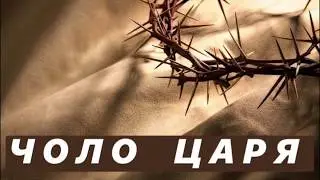 Чоло Царя