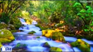 Meditation music & Sleep music, deep healing music, pop music 2021