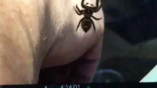 Genifer tries to find the other spider on screen, then comes to me. Wait for it.