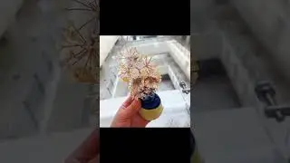 Natural Amethyst Tree Crafts Natural crystal stone Meditation Ornament for Home