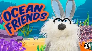 Explore Ocean Animals 🐬 Fun Learning for Kids | Hey Jery!
