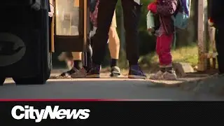 Vulnerable children start school year without adequate support: parents