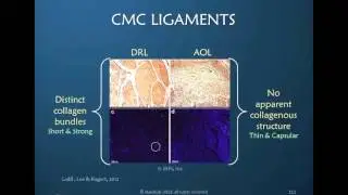 Thumb Framework: Joints, Ligaments & Motions Preview