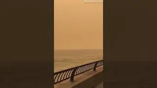 New York city up in smoke. #news #shortvideo #breakingnews