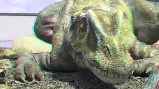 3D Real Anagraph HD Pictures