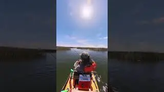 Dedicating time with swimbaits | #shorts #fishing #kayakfishing #bassfishing #swimbaitfishing
