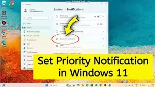 How to set priority notification on Windows 11