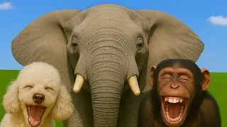 Amazing Wild Animal Sounds: Elephant, Cat, Dog, Monkey, Snake, Chicken & Rabbit